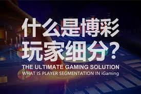 怎样解读足球盘口？掌握这些术语不再困惑-博彩论坛-博彩交流-博彩社区